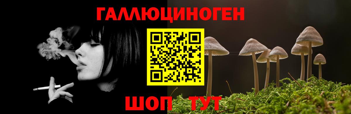 Галлюциногенные грибы MAGIC MUSHROOMS Нальчик