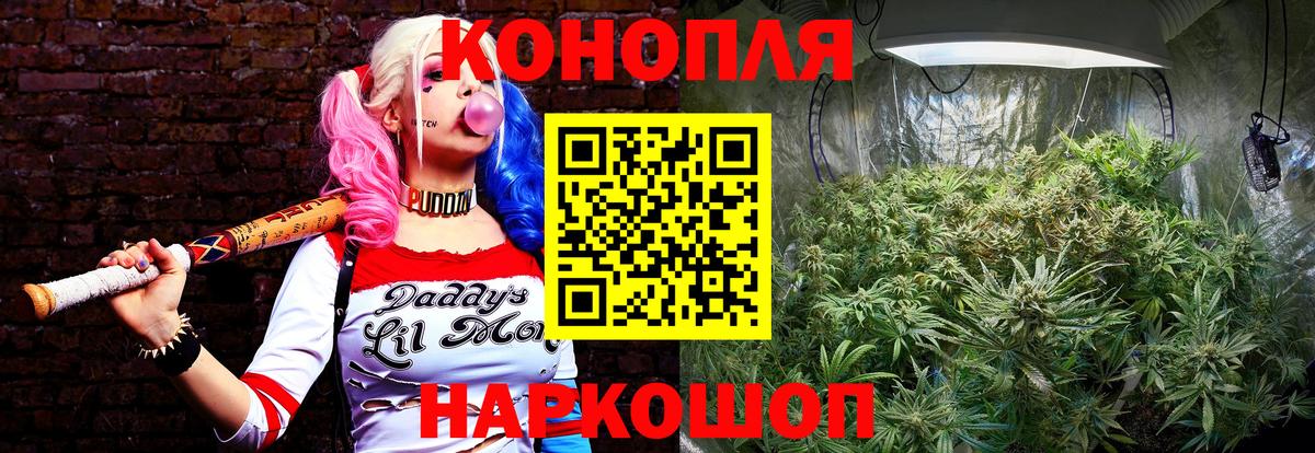 Шишки марихуана White Widow Нальчик